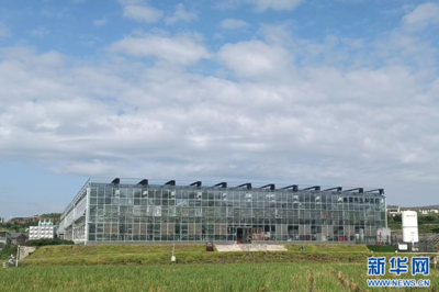 聚焦高質量發展｜重慶 深挖數據價值，賦能千行百業金融中介服務