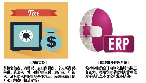 湖南商務(wù)職業(yè)技術(shù)學(xué)院會計學(xué)院 聚焦財務(wù)管理與金融中介服務(wù)的人才培養(yǎng)高地